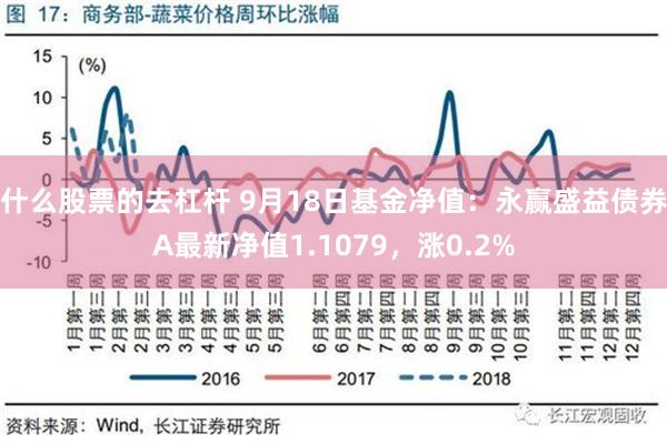 什么股票的去杠杆 9月18日基金净值：永赢盛益债券A最新净值1.1079，涨0.2%