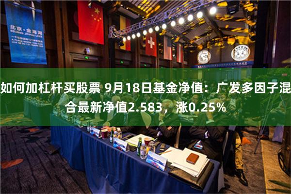 如何加杠杆买股票 9月18日基金净值：广发多因子混合最新净值2.583，涨0.25%