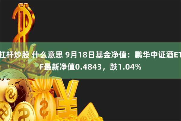 杠杆炒股 什么意思 9月18日基金净值：鹏华中证酒ETF最新净值0.4843，跌1.04%