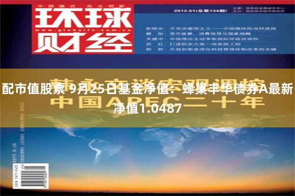 配市值股票 9月25日基金净值：蜂巢丰华债券A最新净值1.0487