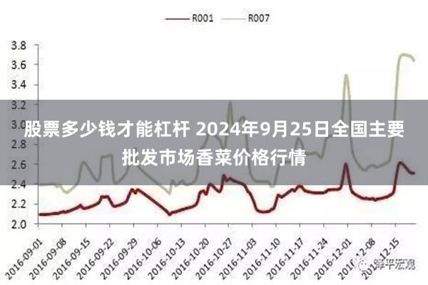 股票多少钱才能杠杆 2024年9月25日全国主要批发市场香菜价格行情