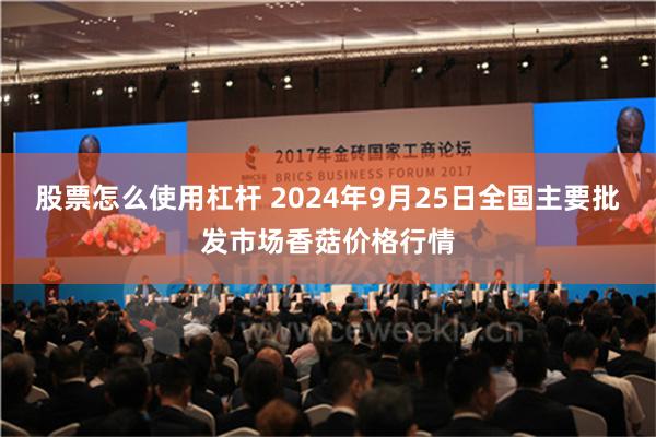 股票怎么使用杠杆 2024年9月25日全国主要批发市场香菇价格行情