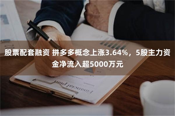 股票配套融资 拼多多概念上涨3.64%，5股主力资金净流入超5000万元