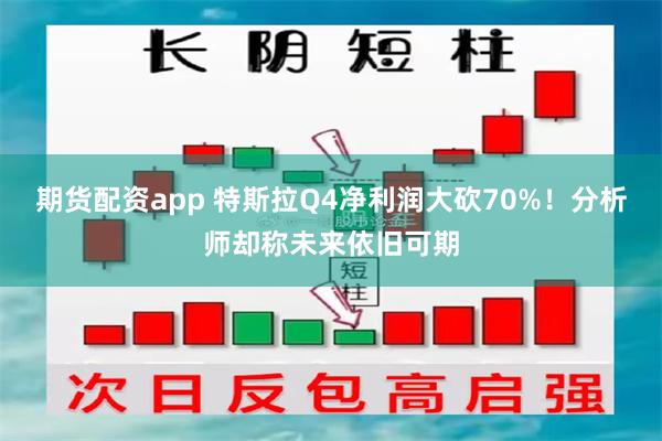 期货配资app 特斯拉Q4净利润大砍70%！分析师却称未来依旧可期