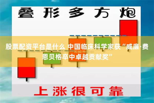 股票配资平台是什么 中国临床科学家获“威廉·费恩贝格卒中卓越贡献奖”