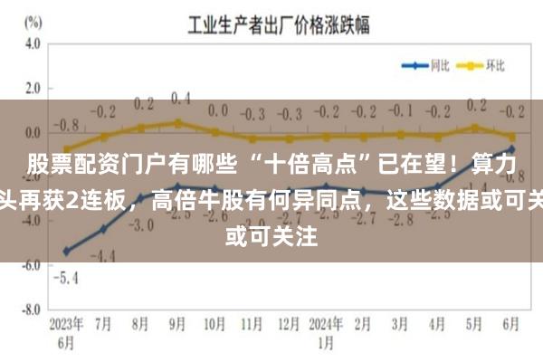 股票配资门户有哪些 “十倍高点”已在望！算力龙头再获2连板，高倍牛股有何异同点，这些数据或可关注