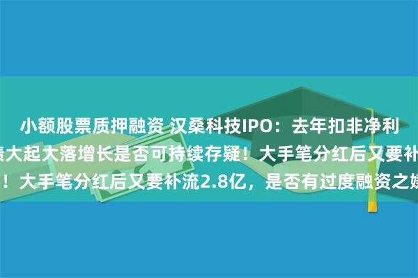 小额股票质押融资 汉桑科技IPO：去年扣非净利暴涨八成助力上会，业绩大起大落增长是否可持续存疑！大手笔分红后又要补流2.8亿，是否有过度融资之嫌?