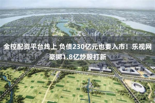 金控配资平台线上 负债230亿元也要入市！乐视网豪掷1.8亿炒股打新